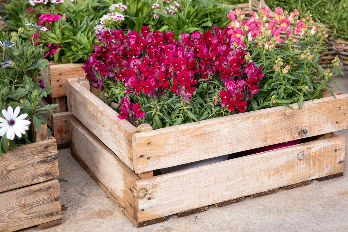 Blumenkasten selber bauen Titelbild