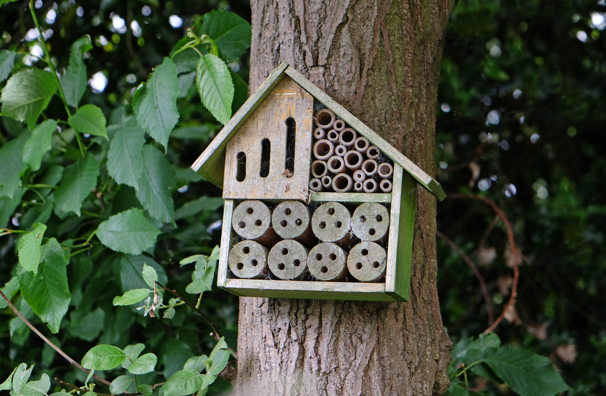 Insektenhotel selber bauen – Anleitung für Nisthilfen im Garten