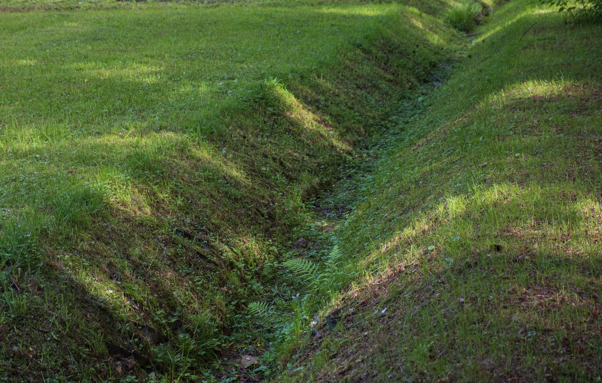 Regengarten anlegen gestalten – Schritt-für-Schritt zur perfekten Gestaltung eines Regengartens