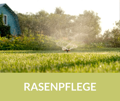 Rasenpflege